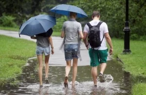 walking with umbrellas walking with umbrellas pic