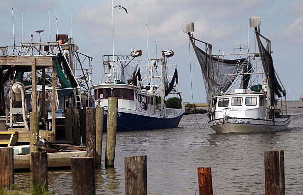 shrimp boat shrimp boat