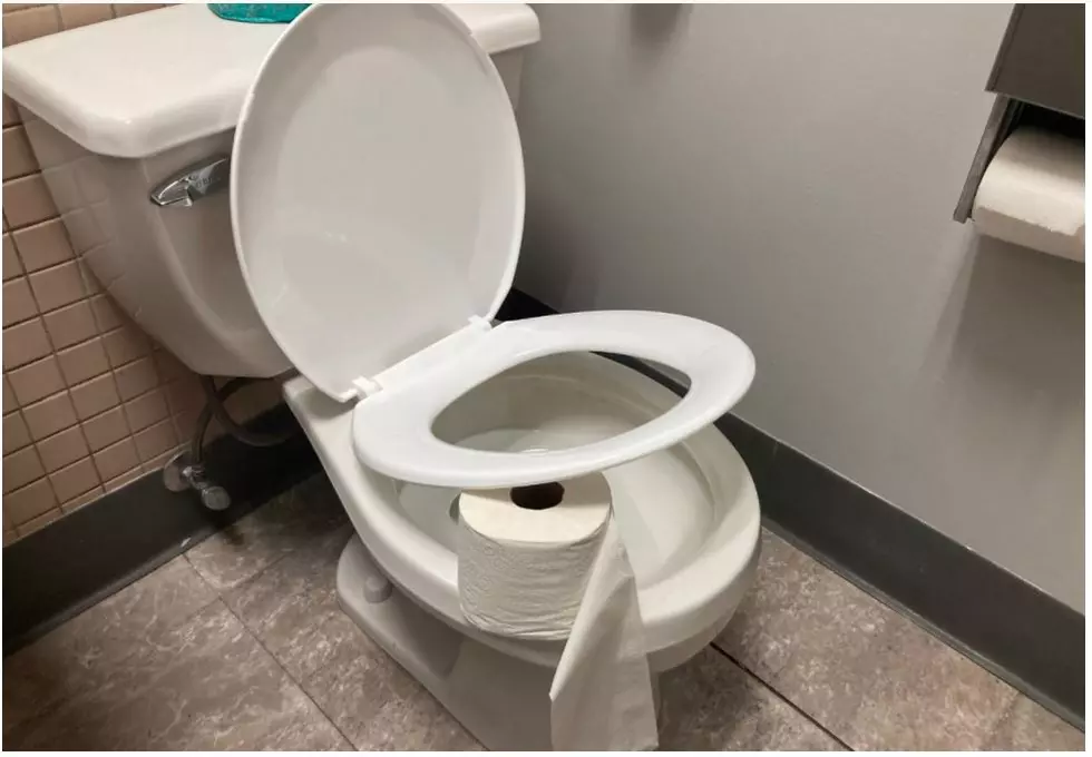 Toilet Paper Under Toilet Seat For Your Safety – Fact or Crap